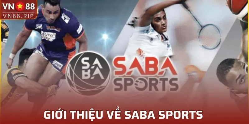 Vài nét chi tiết về Saba Sports